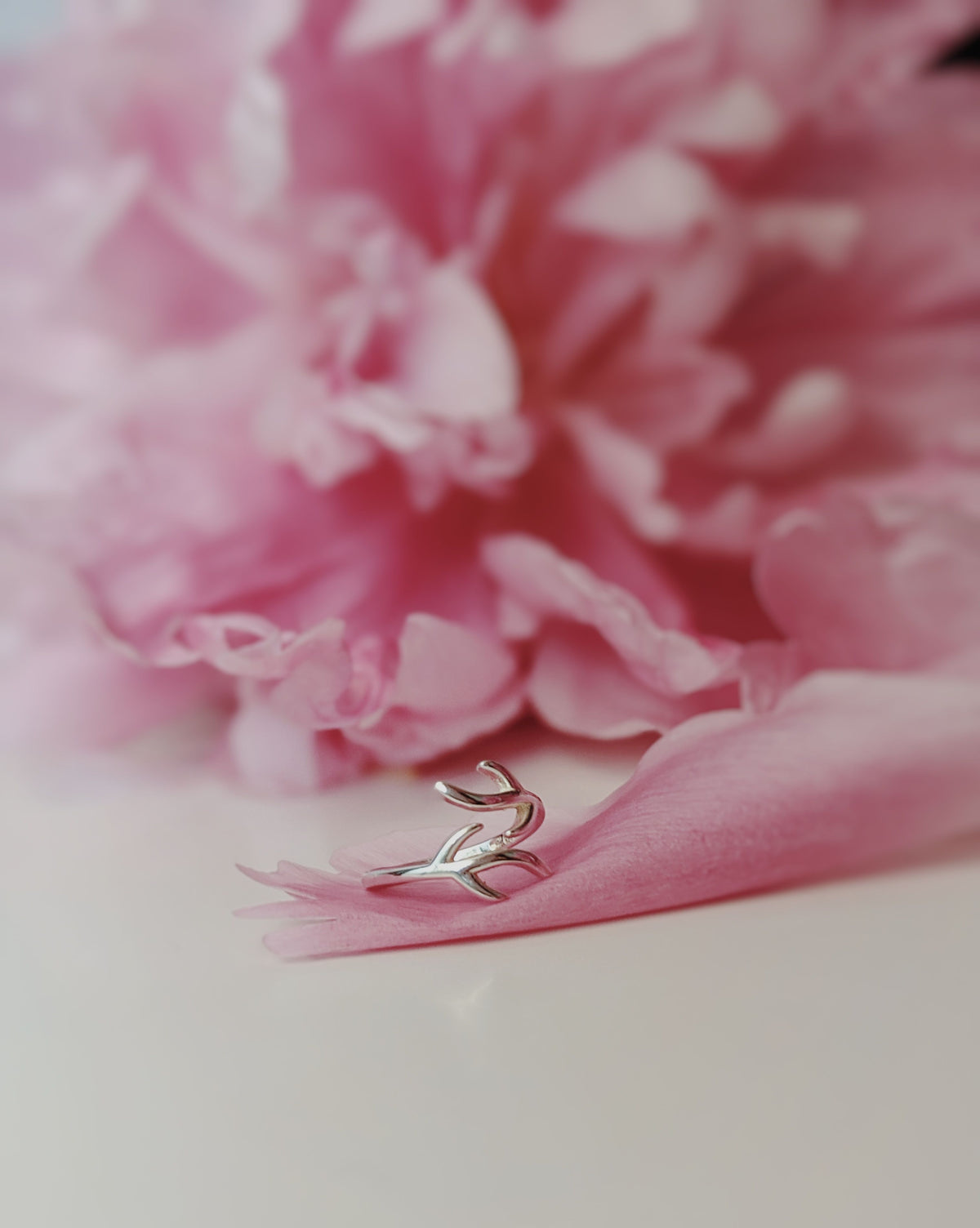 Silver ring