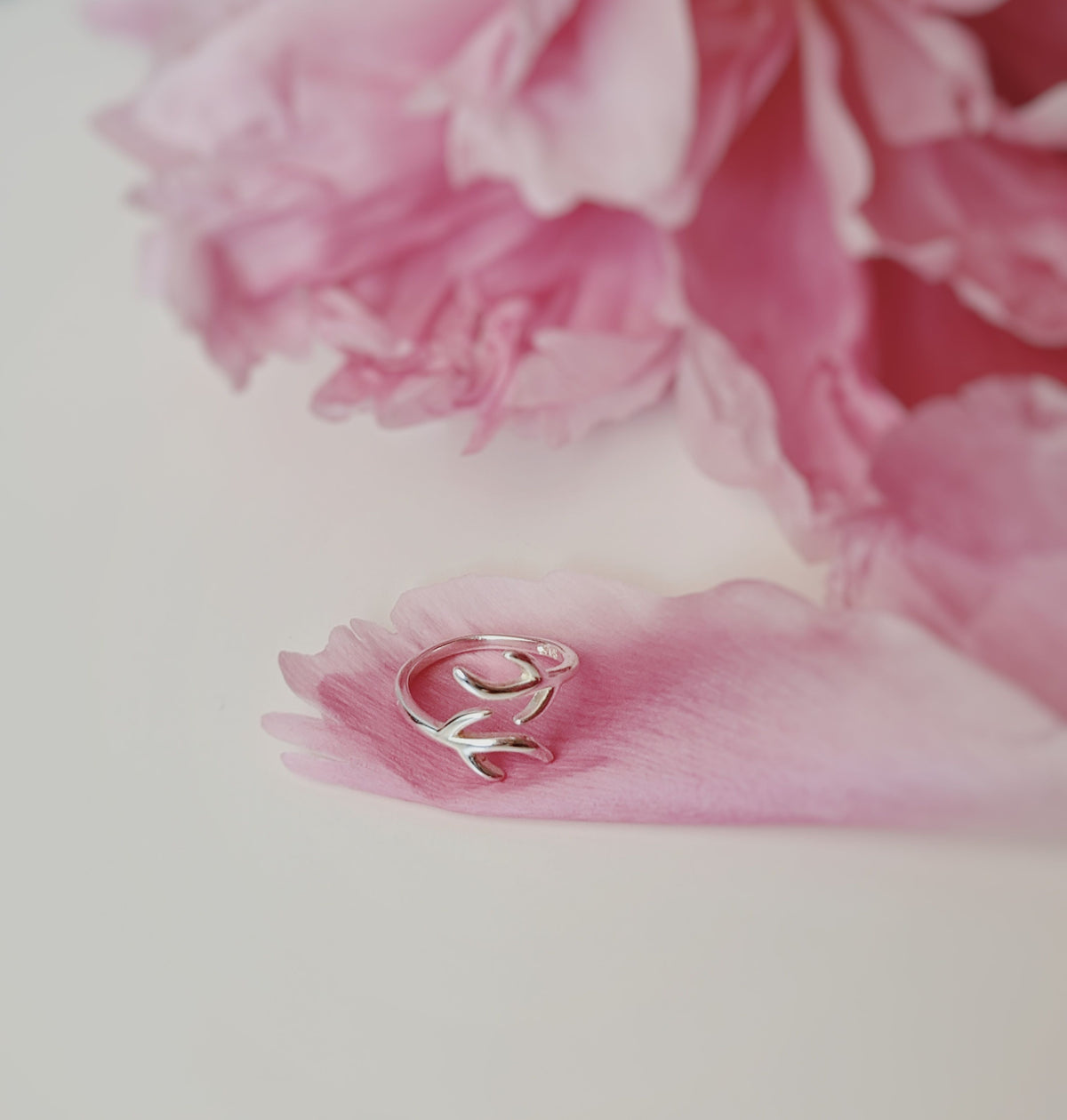 Silver ring